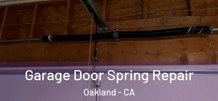  Garage Door Spring Repair Oakland - CA