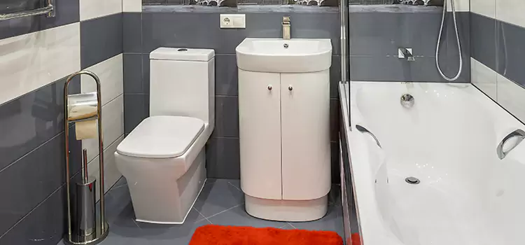 Hansgrohe Shaving Mirror Oakland